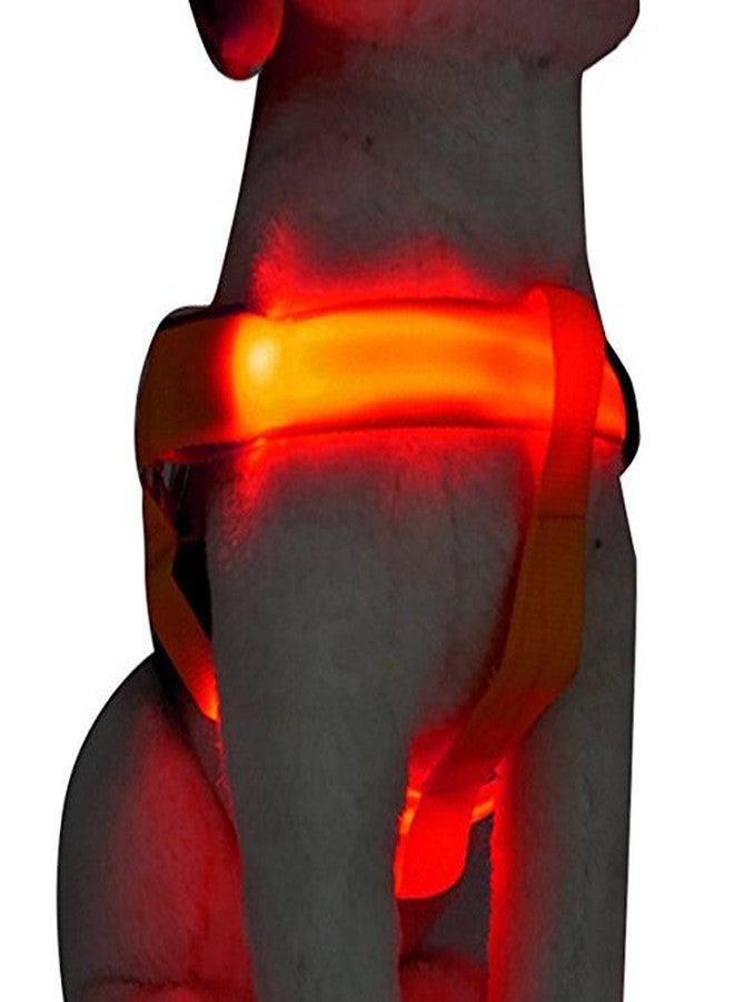 Futaba Dog LED Harness Flashing Light 3 Mode - Red - Extra Large - Image 4